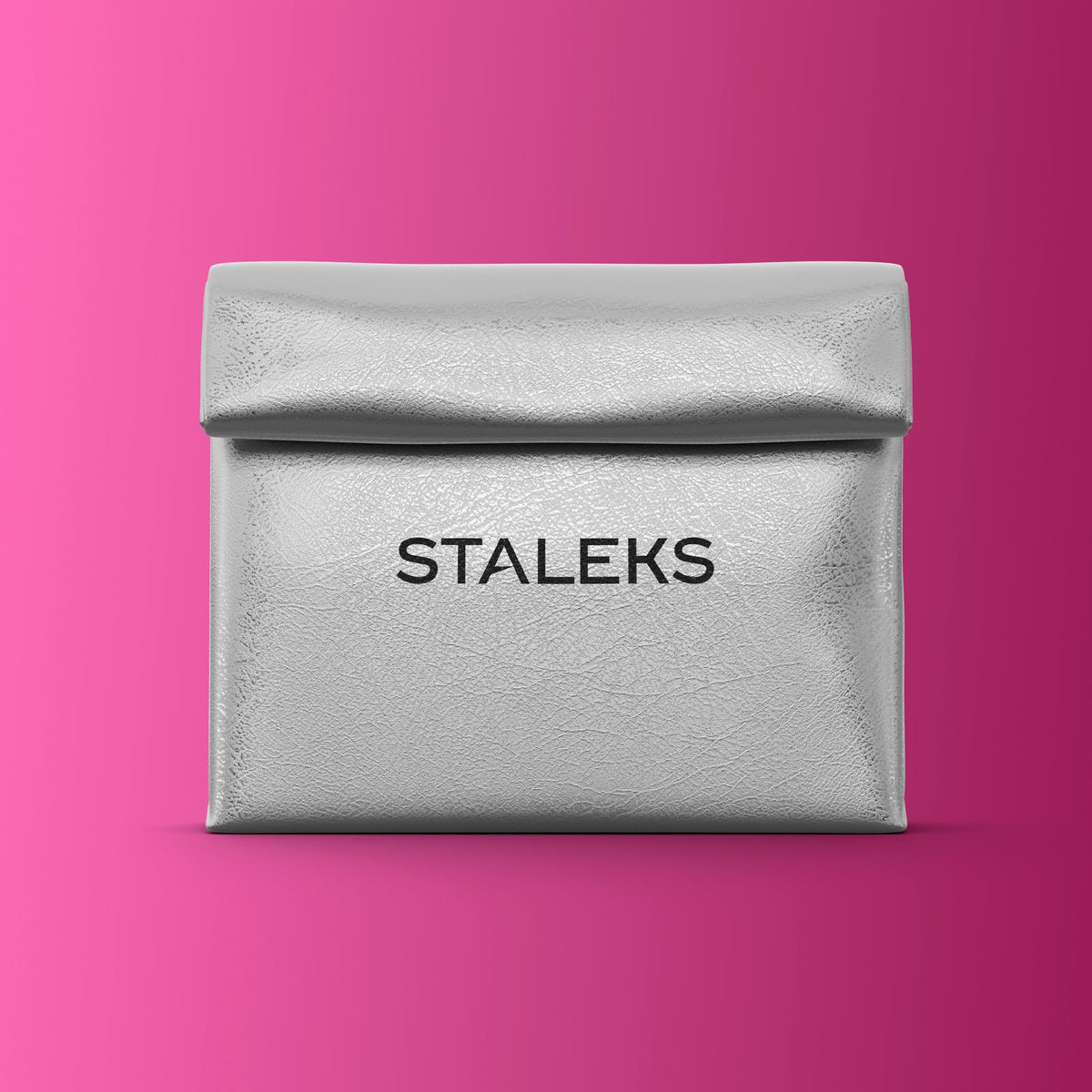 STALEKS BS-01 silberne Kosmetiktasche, Vorderansicht